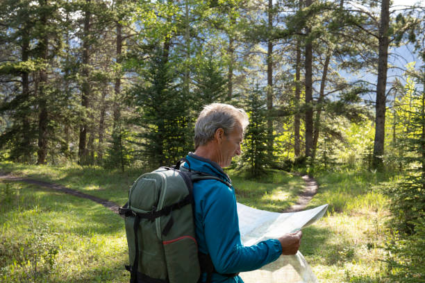 istock Hiker stops at forked forested trail and looks to map for direction 1252918221