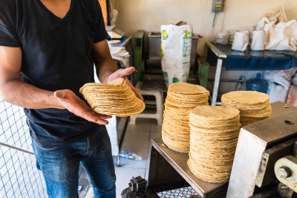 tortillas stacked on a tortilla machine young man selling tortillas of nixtamal in typical mexican shop tortilla flatbread stock pictures, royalty-free photos & images