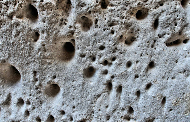 istock Bird Holes in Rocks 1252918935