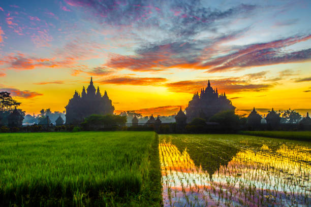 PLAOSAN TEMPLE, KLATEN , CENTRAL JAVA, INDONESIA stock photo