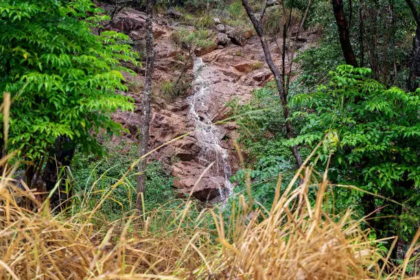 Photo of Waterfall Trickling Over Rocks