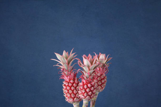 istock Pineapple on a blue background. Pink pineapple. Dark blue background. 1252929737