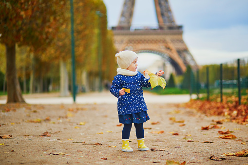 Adorable toddler girl in blue raincoat gathering yellow fallen leaves near the Eiffel tower in Paris, France. Happy child enjoying warm and sunny fall day