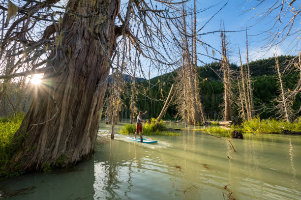 istock Paddleboard adventure in the mountains 1252941242