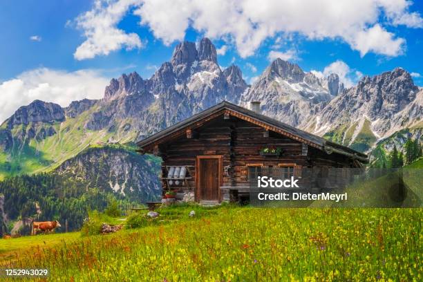 Alpine Scenery With Mountain Chalet In Summer Stock Photo - Download Image Now - Mountain, Log Cabin, European Alps
