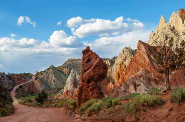 istock Scenic Cottonwood Road 1252943727