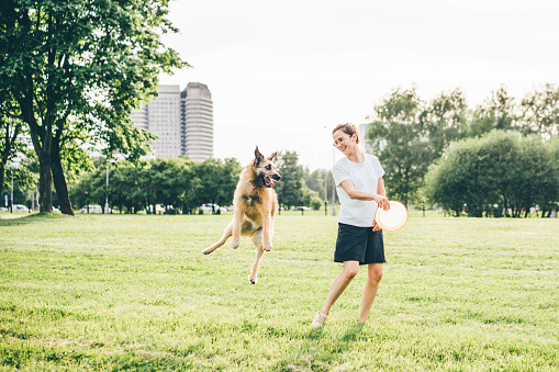 Pretty young lady with glasses in white t-shirt plays with jumping funny grey fluffy dog using plate on lush green lawn grass in sunny summer park.