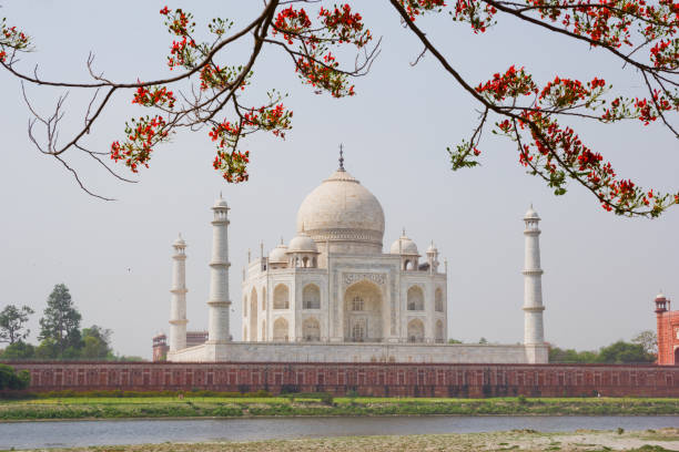 Taj Mahal, Agra, India - foto stock