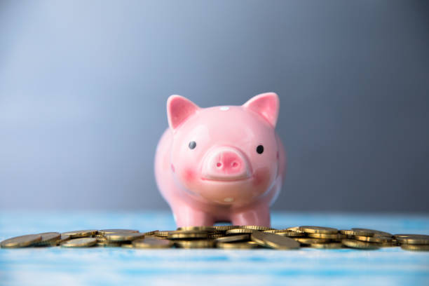 istock coins with piggy bank 1252951697