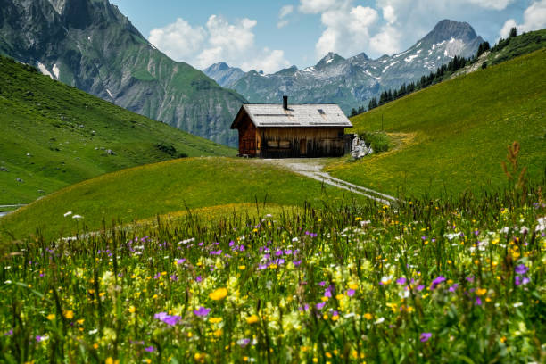 Log House with colorful alpine meadow and peaks around