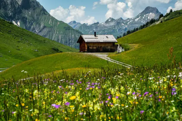 Log House with colorful alpine meadow and peaks around, Vorarlberg, Austria, Europe