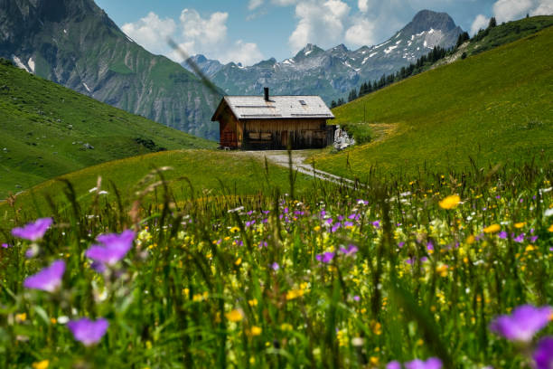 istock Log House with colorful alpine meadow and peaks around 1252953674