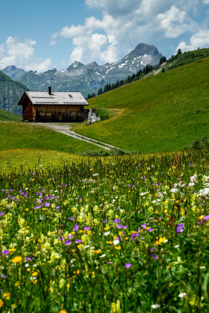 istock Log House with colorful alpine meadow and peaks around 1252953675