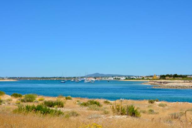 istock Tavira beach, Portugal 1252955941