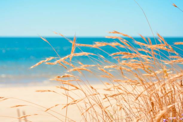 istock Tavira beach, Portugal 1252955970