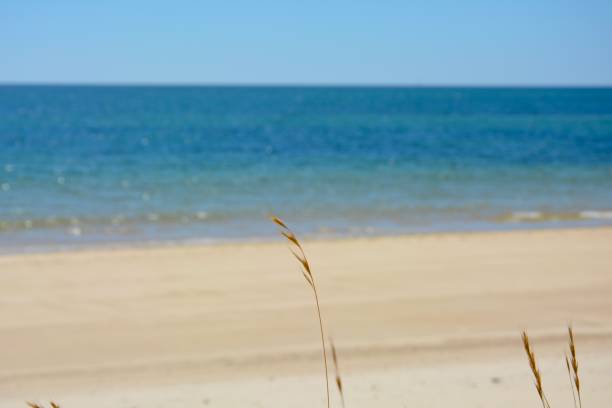 istock Tavira beach, Portugal 1252955973