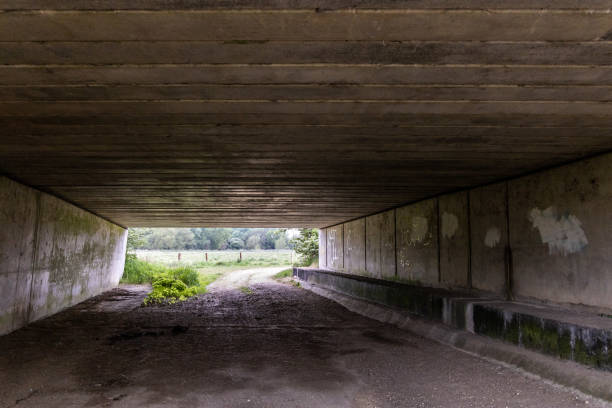 istock Tunnel under the M11 Motorway 1252958782