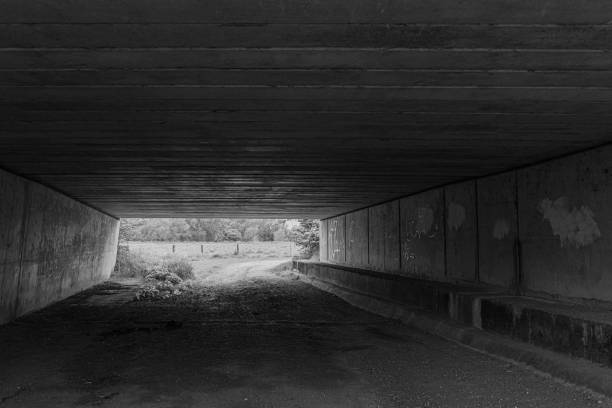 istock Tunnel under the M11 Motorway 1252958788