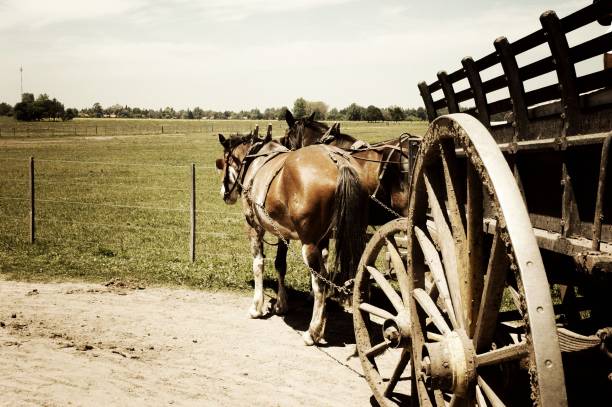 istock Horse Cart 1252960540