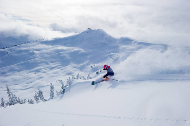 mulher esquiando pó fresco em férias de esqui - skiing winter sport powder snow athlete - fotografias e filmes do acervo