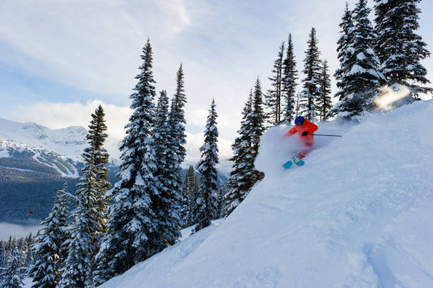 istock Skiing fresh powder on a ski vacation 1252960718