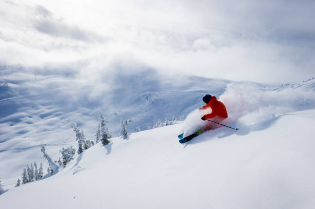 Skiing fresh powder on a ski vacation Male skiing fresh powder in the mountains. North America's best ski resorts. Canada's top ski destination. whistler skiing stock pictures, royalty-free photos & images