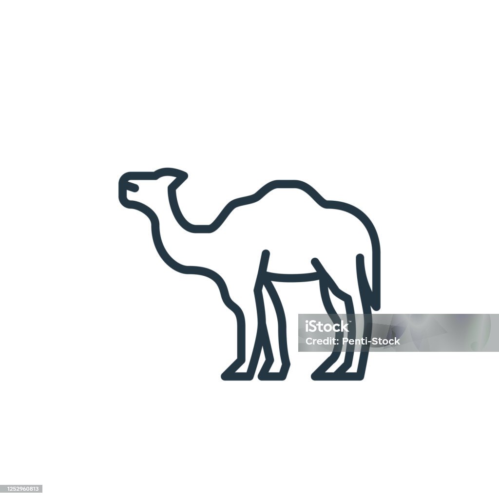 Unta Icon Ikon Vektor Unta Unta Yang Bisa Diedit Stroke Simbol Linear Unta Untuk ...