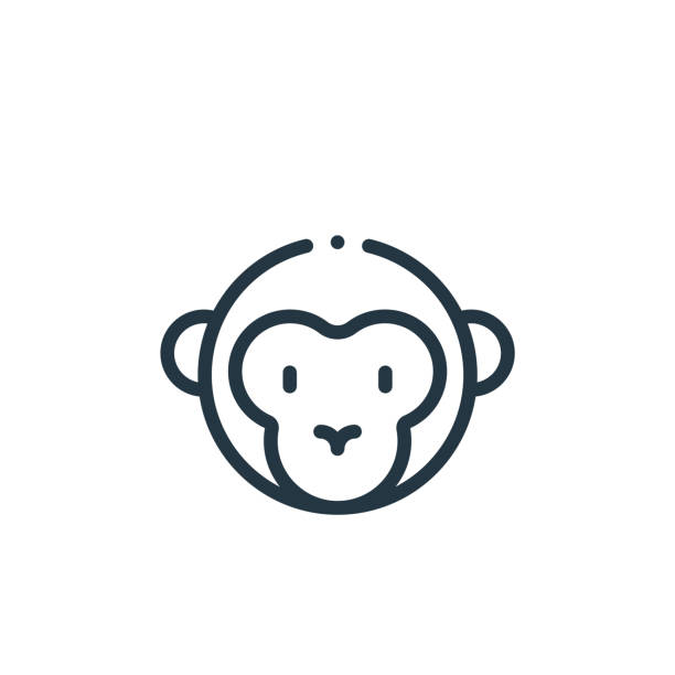 illustrazioni stock, clip art, cartoni animati e icone di tendenza di icona del vettore scimmia. scimmia colpo modificabile. simbolo lineare scimmia da utilizzare su app web e mobili, logo, supporti di stampa. illustrazione a linea sottile. disegno contorno isolato vettoriale. - primate