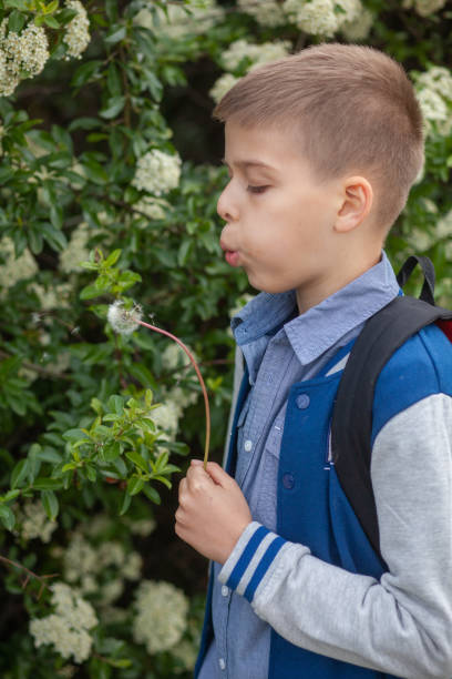 istock one young boy, blowing a dandelion outdoors. 1252965510