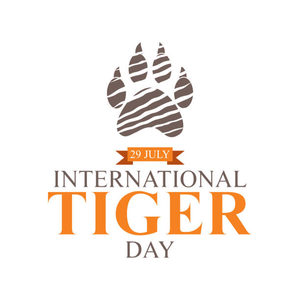 ilustrações de stock, clip art, desenhos animados e ícones de international tiger day poster design - undomesticated cat white background pattern isolated