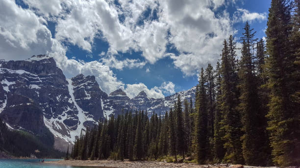 istock Forest in the Rocky Mountains with dense trees 1252982211