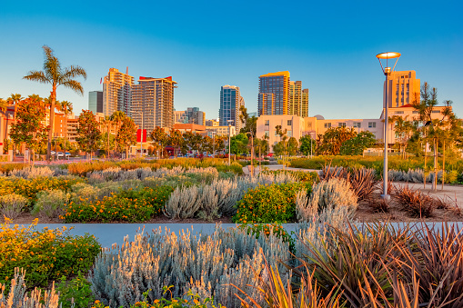 Dusk light casts a warm glow to the skyscrapers of downtown San Diego and The Waterfront Park  in California.