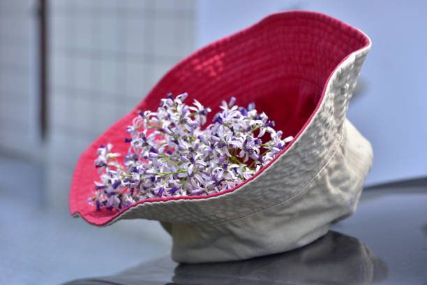 top view many tiny violet flowers growing in wicker basket on vintage green and yellow wooden background