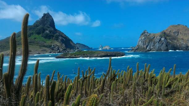 istock Amazing shortcut in Noronha 1252992688