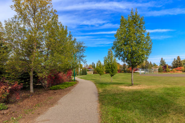 istock Sidney L. Buckwold Park 1252999835