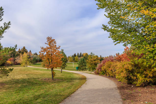 istock Sidney L. Buckwold Park 1252999878