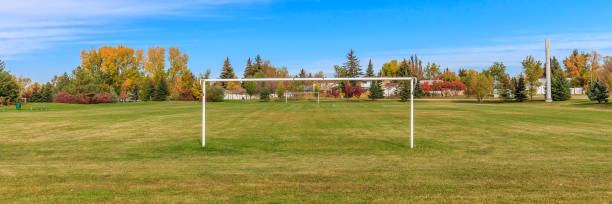 istock Sidney L. Buckwold Park 1252999879