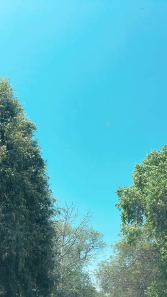 istock Pleasant weather in delhi 1252999952