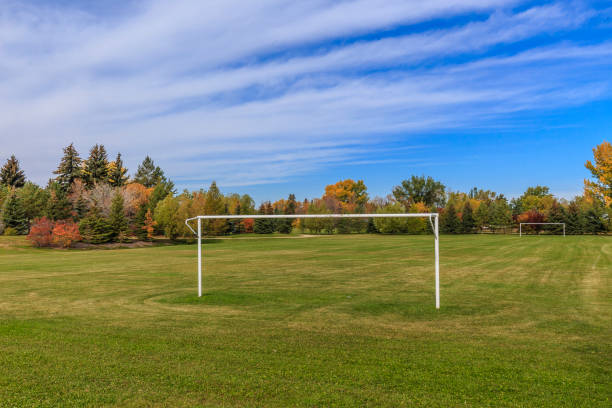 istock Sidney L. Buckwold Park 1252999956