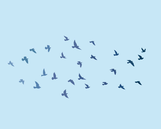 istock Flying birds silhouettes on white background. Vector illustration. isolated bird flying. tattoo design. 1253000753
