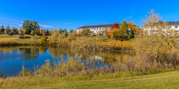 Trounce Pond is located in the Lakewood Suburban Centre neighborhood of Saskatoon.