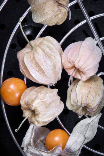 cape gooseberry Grapefruit cape in different sizes. Grapefruit cape from close view. Grapes in a package. gooseberry cape winter cherry berry fruit stock pictures, royalty-free photos & images