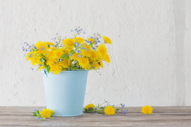 istock dandelions and forget-me-nots on background white wall 1253007845
