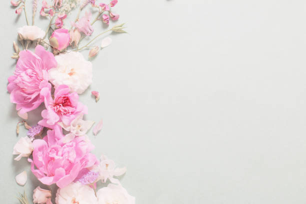 istock pink and white roses on paper background 1253007870