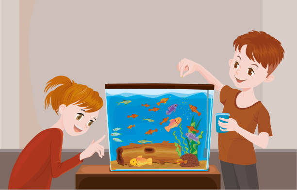 Feeding fish in fish tank Kids feeding fish in fish tank. animals feeding stock illustrations