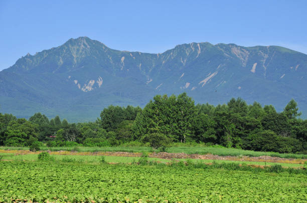 istock Natural plateau landscape in Japan 1253013003