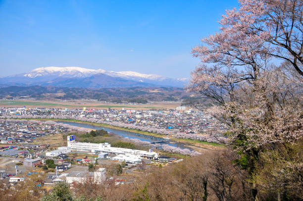 istock Japanese spring beautiful cherry blossoms 1253013571