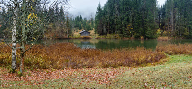 Alpine  lake Geroldee or Wagenbruchsee, Bavaria, Germany. Autumn overcast, foggy and drizzle day. Picturesque traveling, seasonal, weather, and rural nature beauty concept scene.