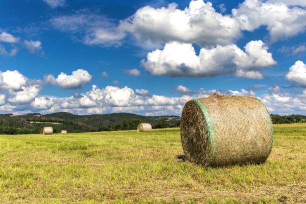 Haystack Reclamation 50+ Heystack Stock Photos, Pictures & Royalty-Free Images - iStock