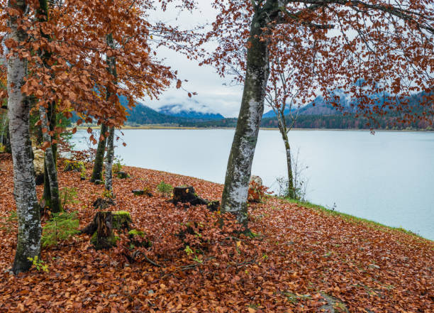 istock Alpine autumn Sylvenstein Stausee lake, Germany 1253021104